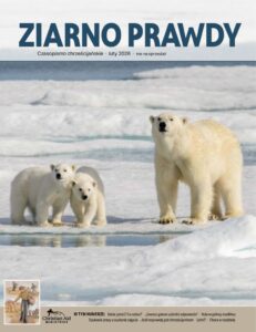 thumbnail of 374February2026