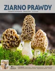 thumbnail of 376April2026